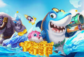 333体育官网下载最新版