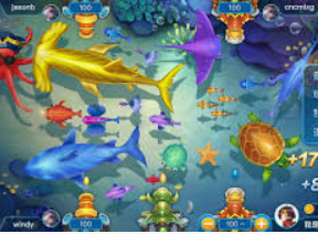 333体育官网下载