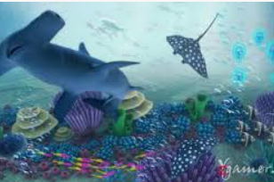 333体育官网下载正式版